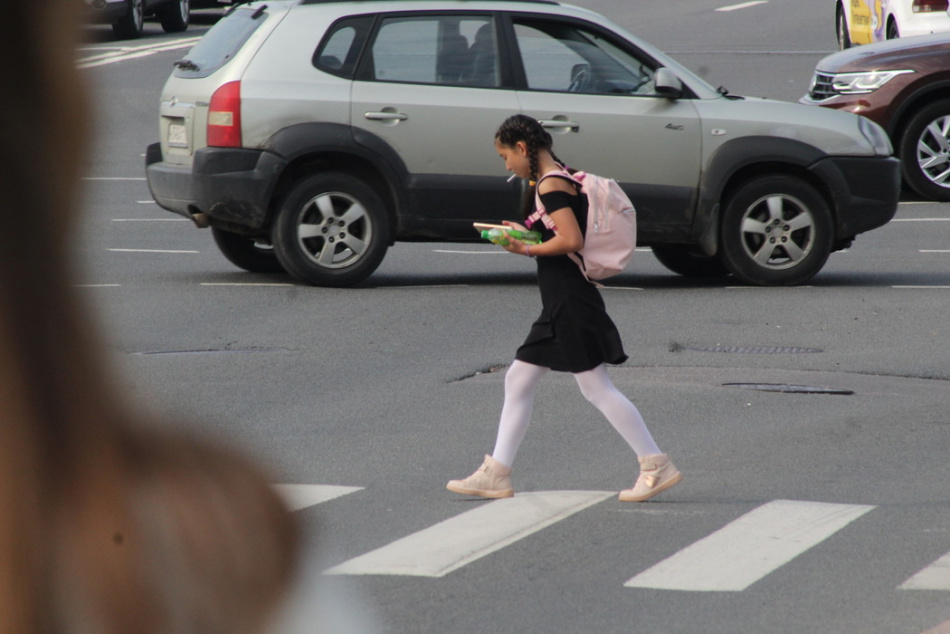 Профессор Комков объяснил преимущества 12-летнего школьного обучения